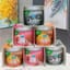 Sáp thơm Jello nội địa Trung (lẻ - hủ ngẫu nhiên)