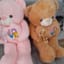 Gấu teddy 1met 250