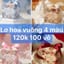 Vỏ lơ hoa 4 mầu