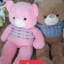 Gấu teddy áo len 455