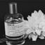 Lelabo rose 31